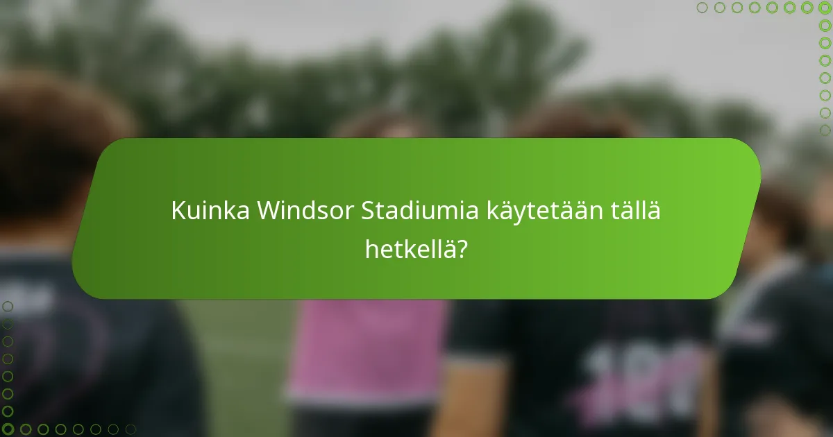 Kuinka Windsor Stadiumia käytetään tällä hetkellä?